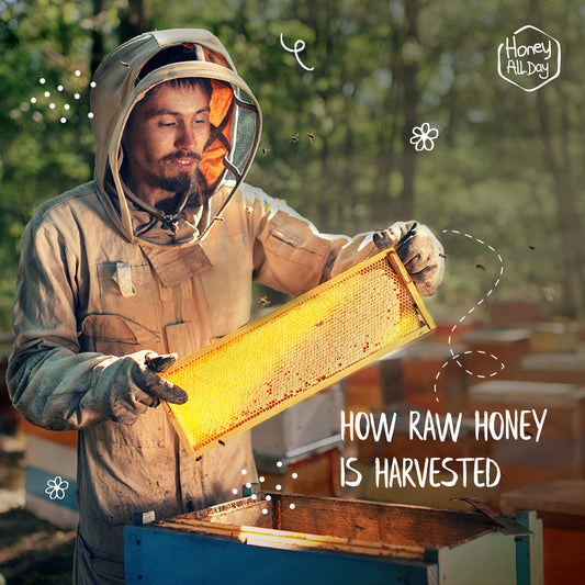 HOW IS TRULY RAW HONEY HARVESTED?