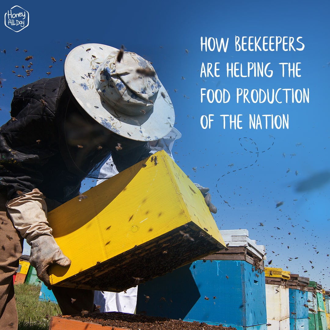 HOW BEEKEEPERS ARE HELPING THE FOOD PRODUCTION OF THE NATION