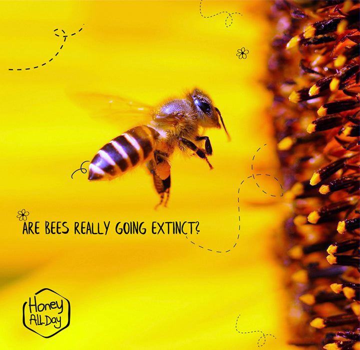 ARE BEES REALLY GOING EXTINCT?