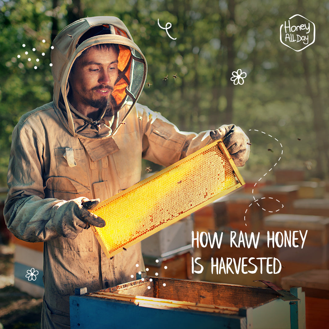 HOW IS TRULY RAW HONEY HARVESTED?