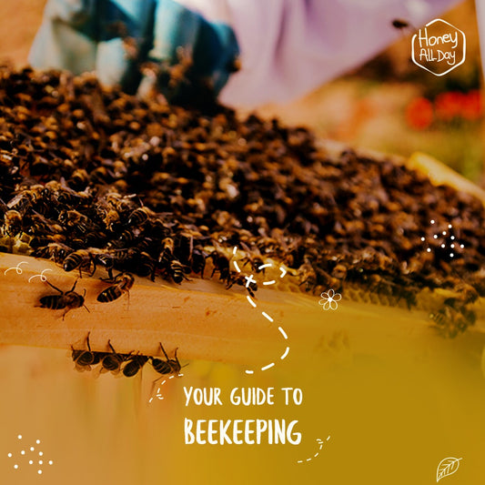 YOUR GUIDE TO BEEKEEPING