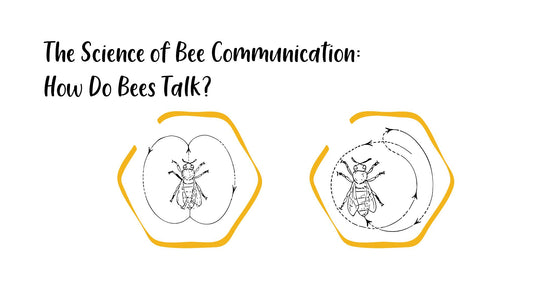 The Science of Bee Communication: How Do Bees Talk?