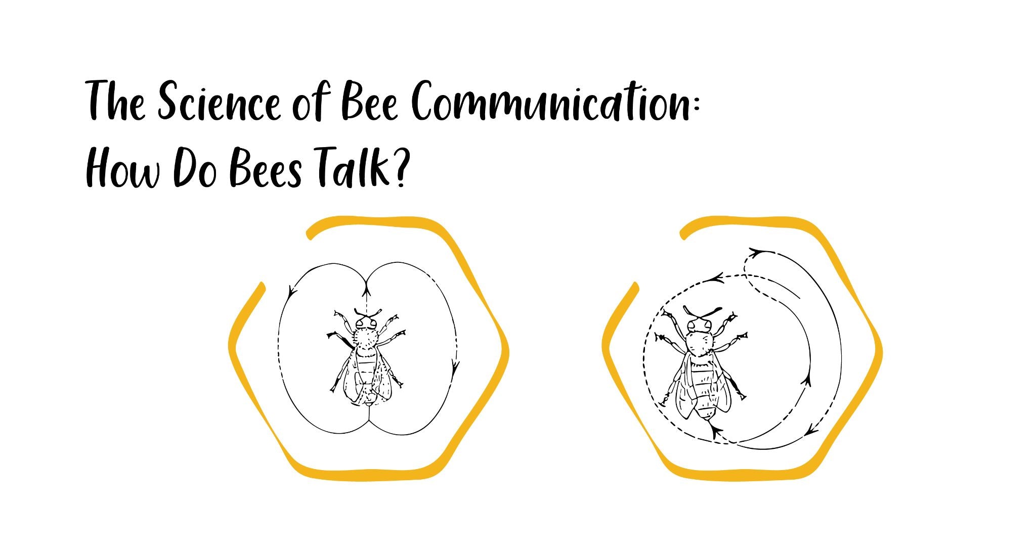 The Science of Bee Communication: How Do Bees Talk? – HoneyAllDay