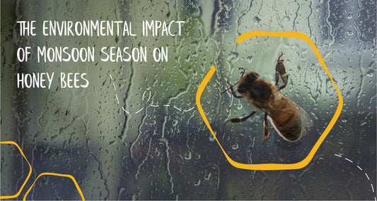 The Environmental Impact of Monsoon Season on Honey Bees: Insights from HoneyAllday