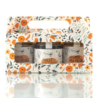 Raw Honey Gift Combo | Pack of 3 Pure Honey Jars - NMR Tested